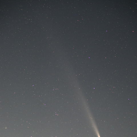 紫金山－アトラス彗星 10月20日