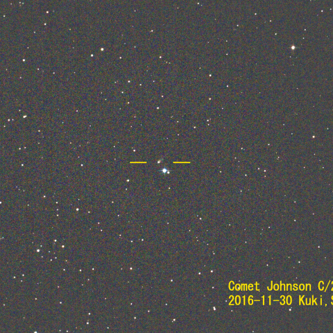 ジョンソン彗星