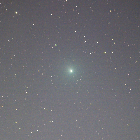 ウィルタネン彗星