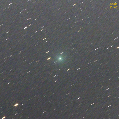 岩本彗星（C/2018 Y1）