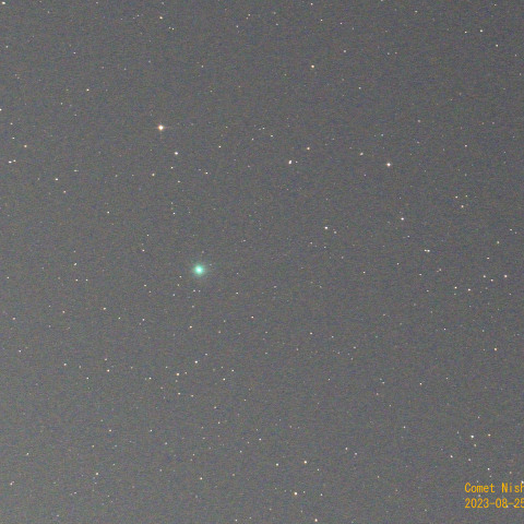 西村彗星(C/2023 P1) 8月25日