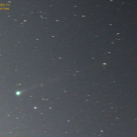 西村彗星(C/2023 P1) 9月1日
