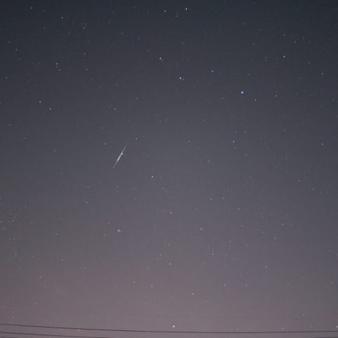 2009 しし座流星群