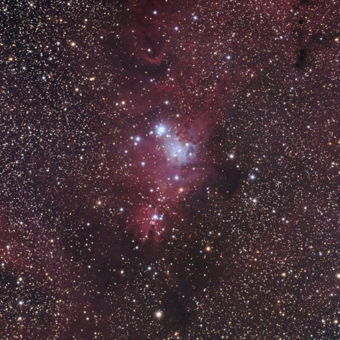 コーン星雲付近