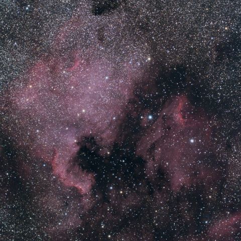 北アメリカ星雲・ペリカン星雲