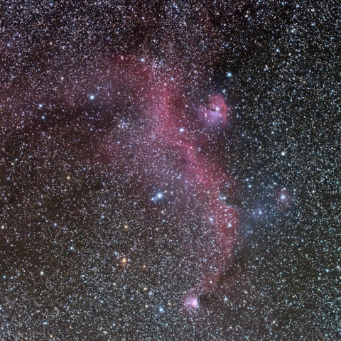 IC2177　わし星雲