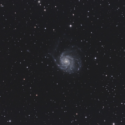 M101