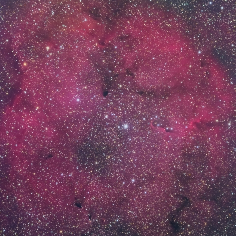 IC1396