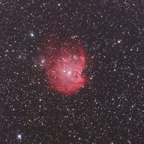 モンキーフェイス星雲