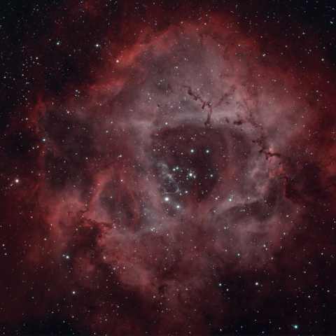 NGC2237　ばら星雲