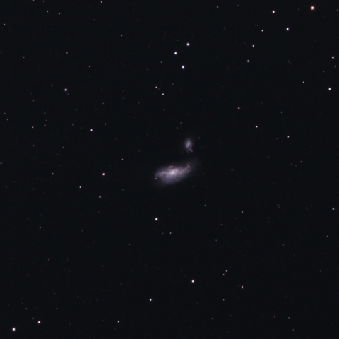 まゆ銀河 NGC4490