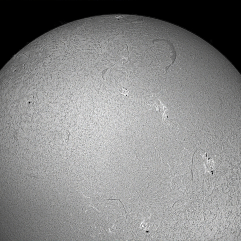 お日様　コロナドP.S.T. ファーストライト