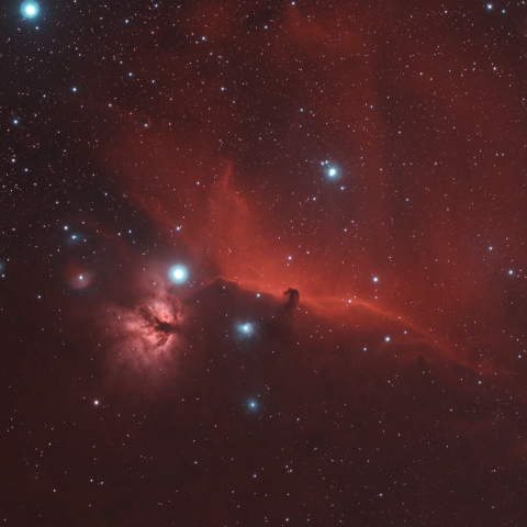 馬頭星雲（IC434）　燃える木星雲（NGC2024）