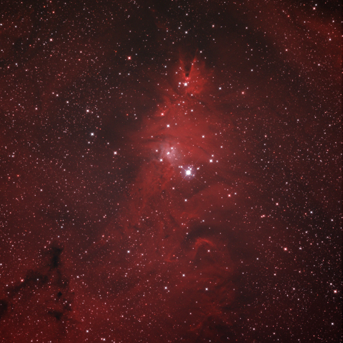 コーン星雲とクリスマスツリー星団 NGC2264