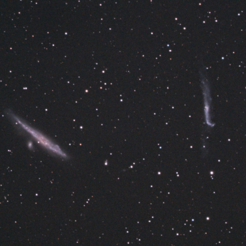NGC4631 くじら銀河 NGC4565 ホッケーステック銀河