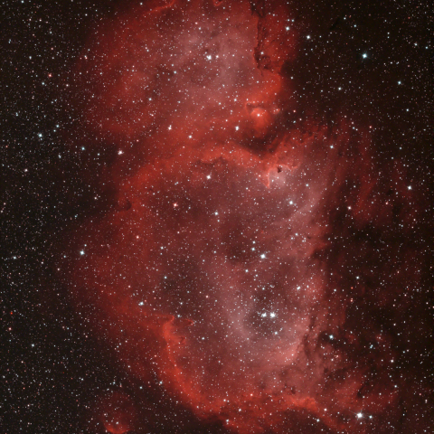 ソウル星雲 IC1848