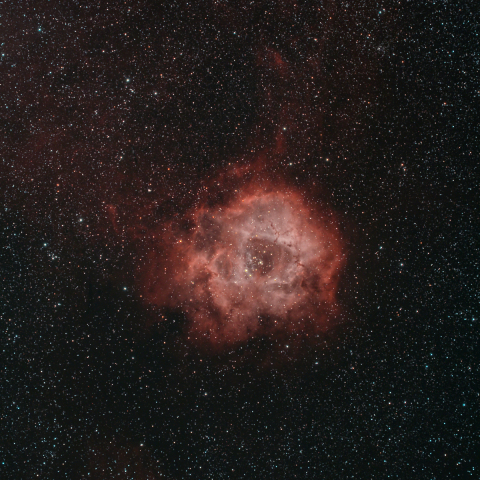 ばら星雲　NGC2237