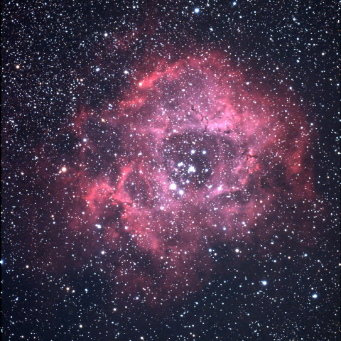 ばら星雲（どくろ星雲）