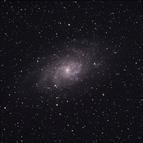 M33