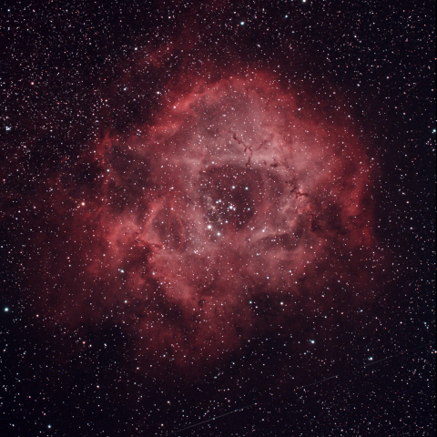 バラ星雲　NGC2244