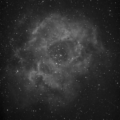 ばら星雲　Hαフィルター実験