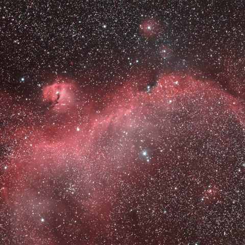 わし星雲　IC2177