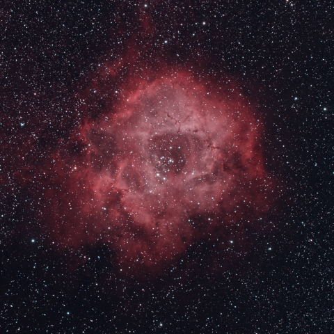 ばら星雲　NGC2237