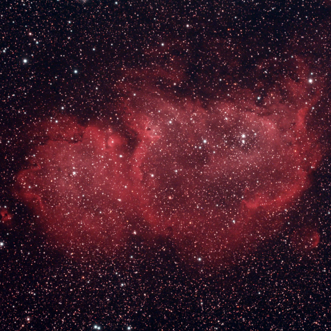 IC1848　胎児星雲