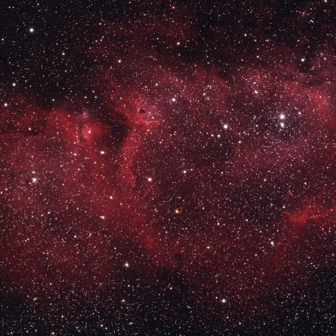 胎児星雲　IC1848