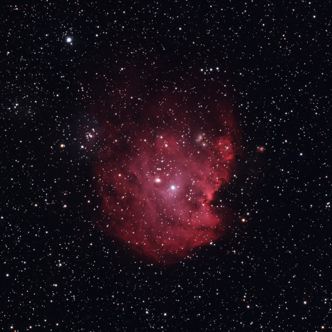 モンキー星雲　NGC2174