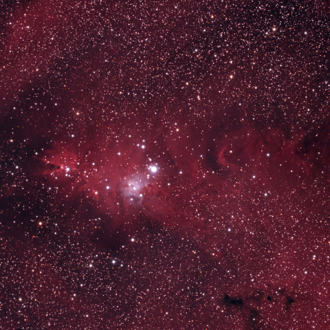 NGC2264　コーン星雲