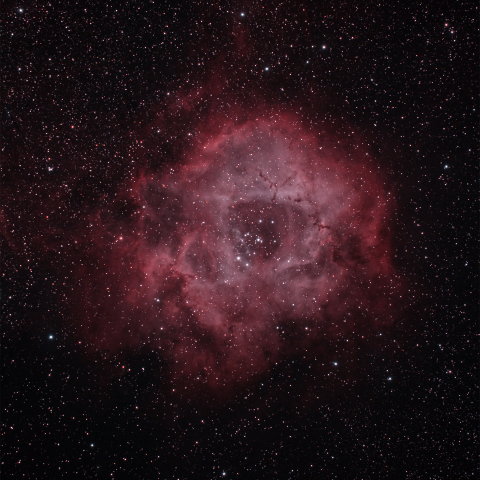 NGC2238　バラ星雲