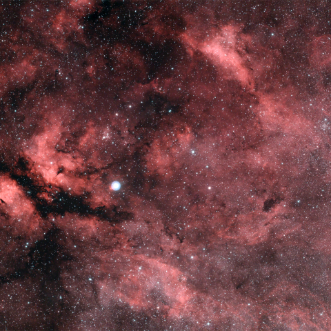 はくちょう座サドルの散光星雲