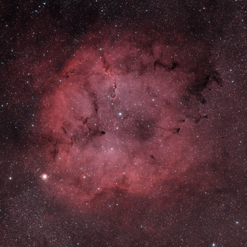 ガーネットスター　IC1396