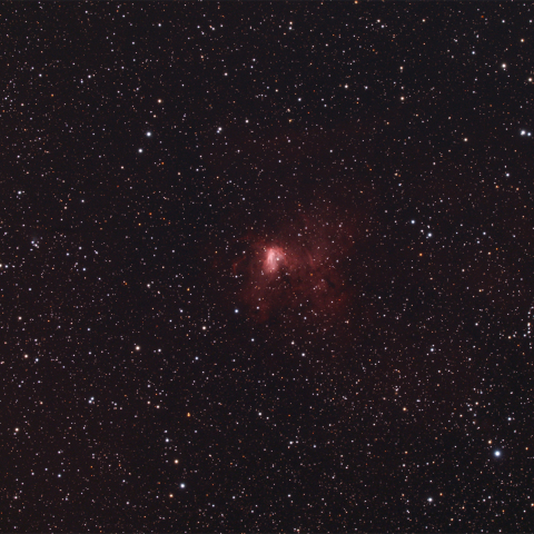 NGC1491