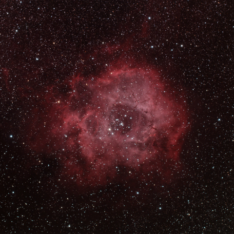 ばら星雲　NGC2238