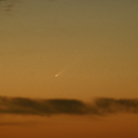 夜明の紫金山アトラス彗星