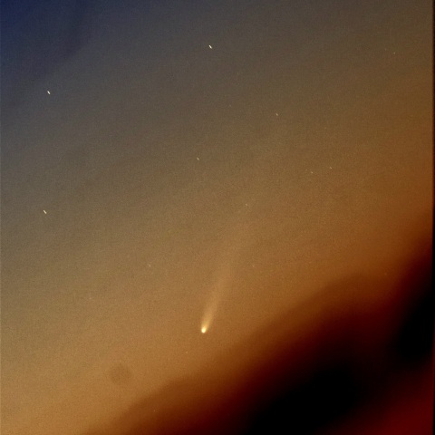 紫金山アトラス彗星