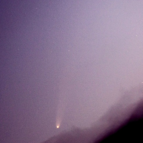 明るくなってからの紫金山アトラス彗星