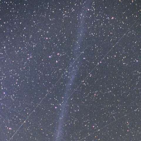 4月16日のパンスターズ彗星 長尾版