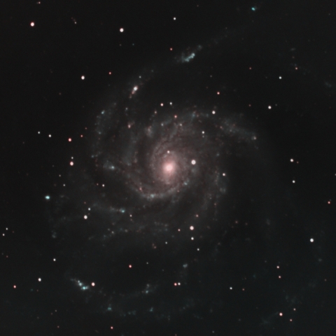 M101　機材一新にて試し撮り