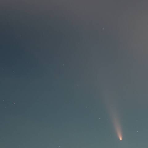 紫金山・アトラス彗星 10/14固定