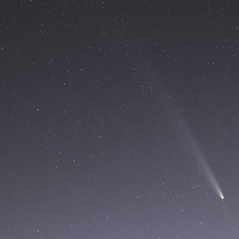 紫金山・アトラス彗星 10/21