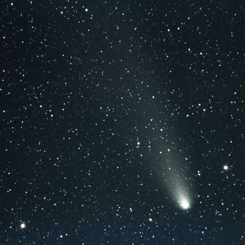 紫金山・アトラス彗星 11/03