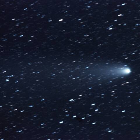 紫金山・アトラス彗星 11/04