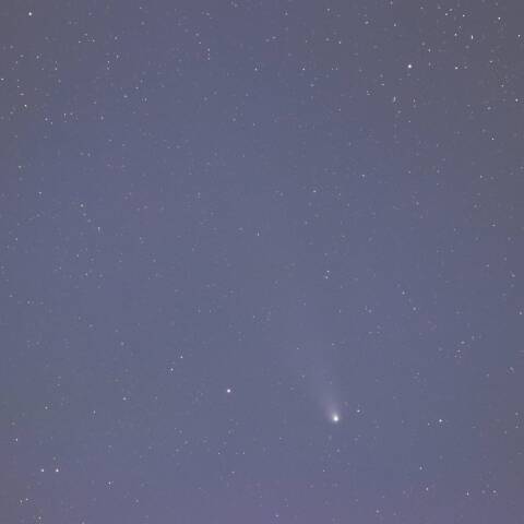 紫金山・アトラス彗星 11/12