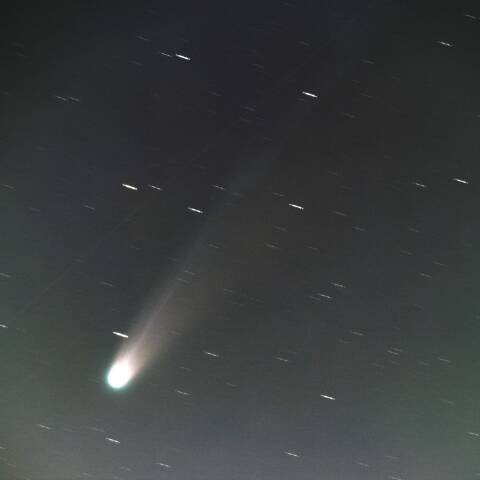 C2025 A6 レモン彗星 10/23