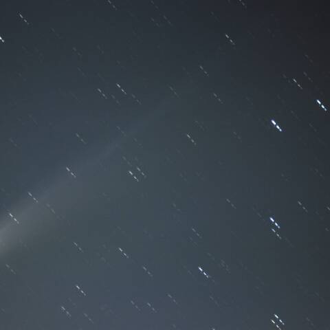 C2025 A6 レモン彗星 10/29