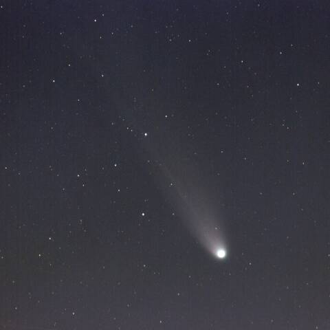 C2025 A6 レモン彗星 11/15