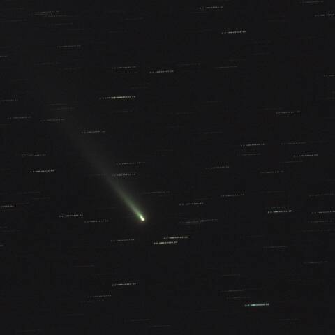 C2025 K1 アトラス彗星 11/23